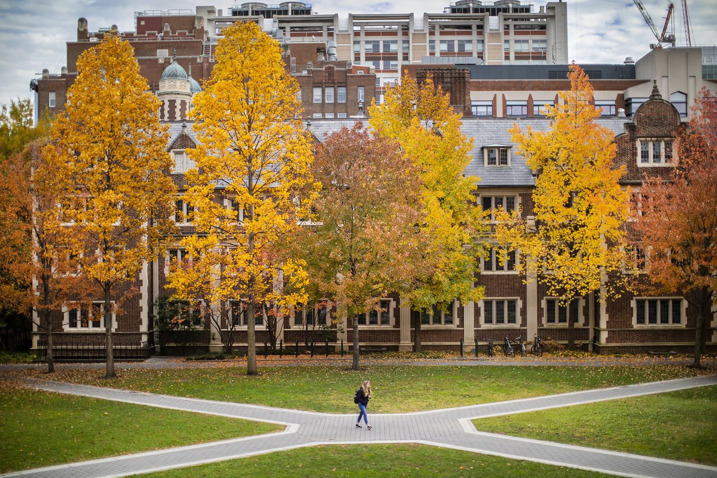 Quadrangle University of Pennsylvania