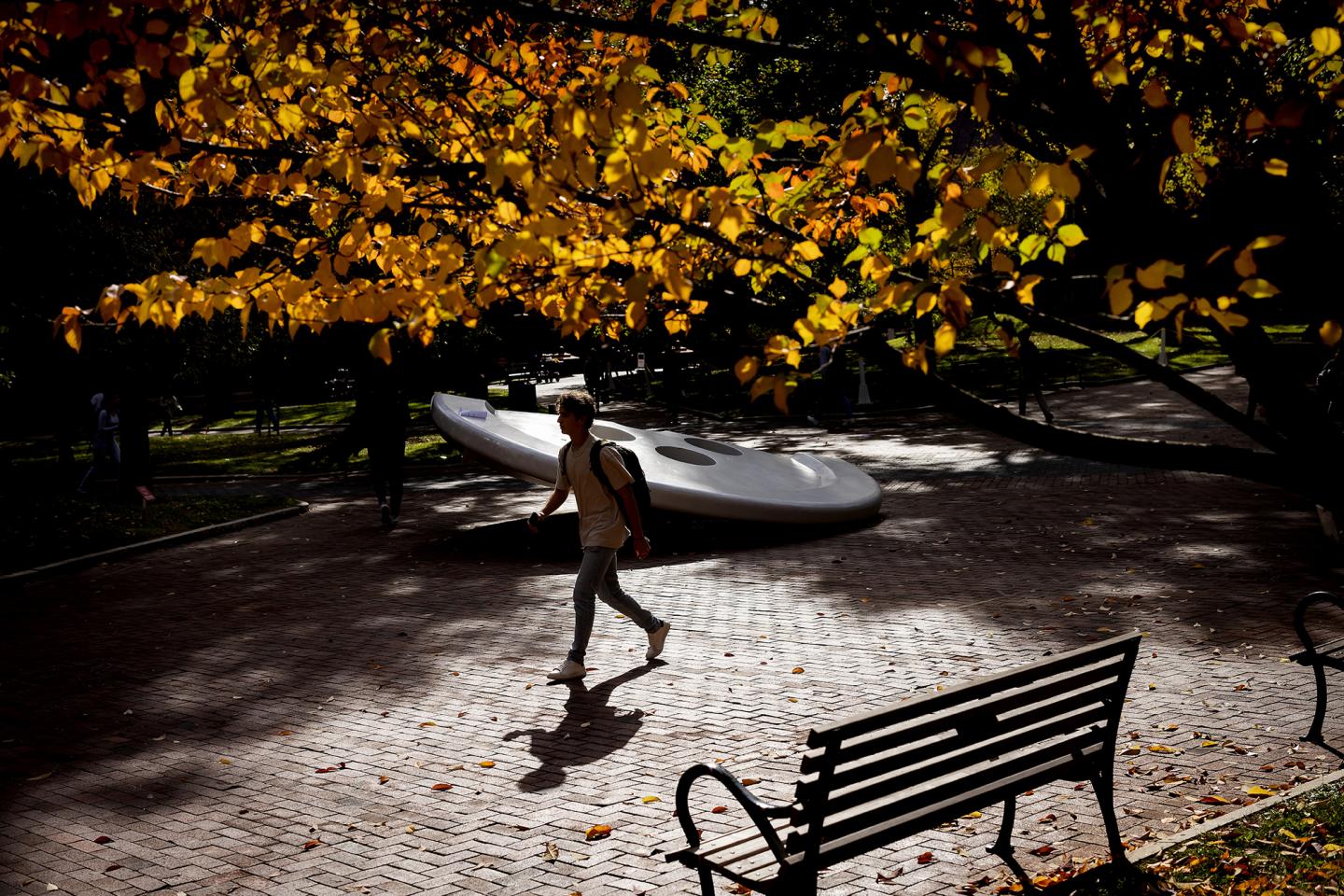 Button Sculpture, University of Pennsylvania