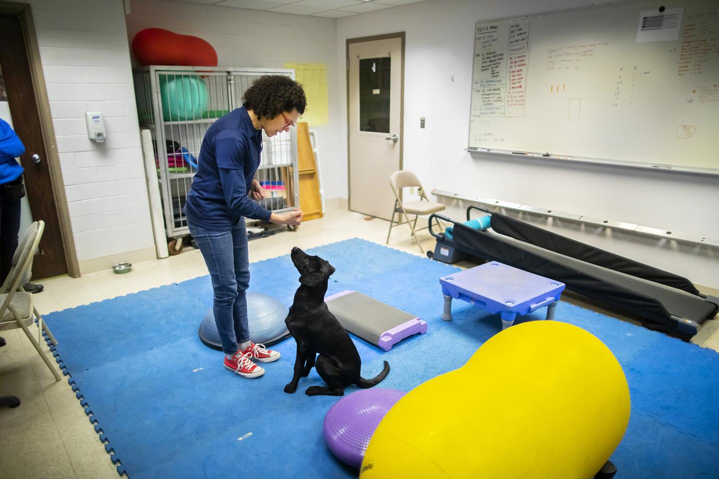 Penn Working Dog Program, University of Pennsylvania
