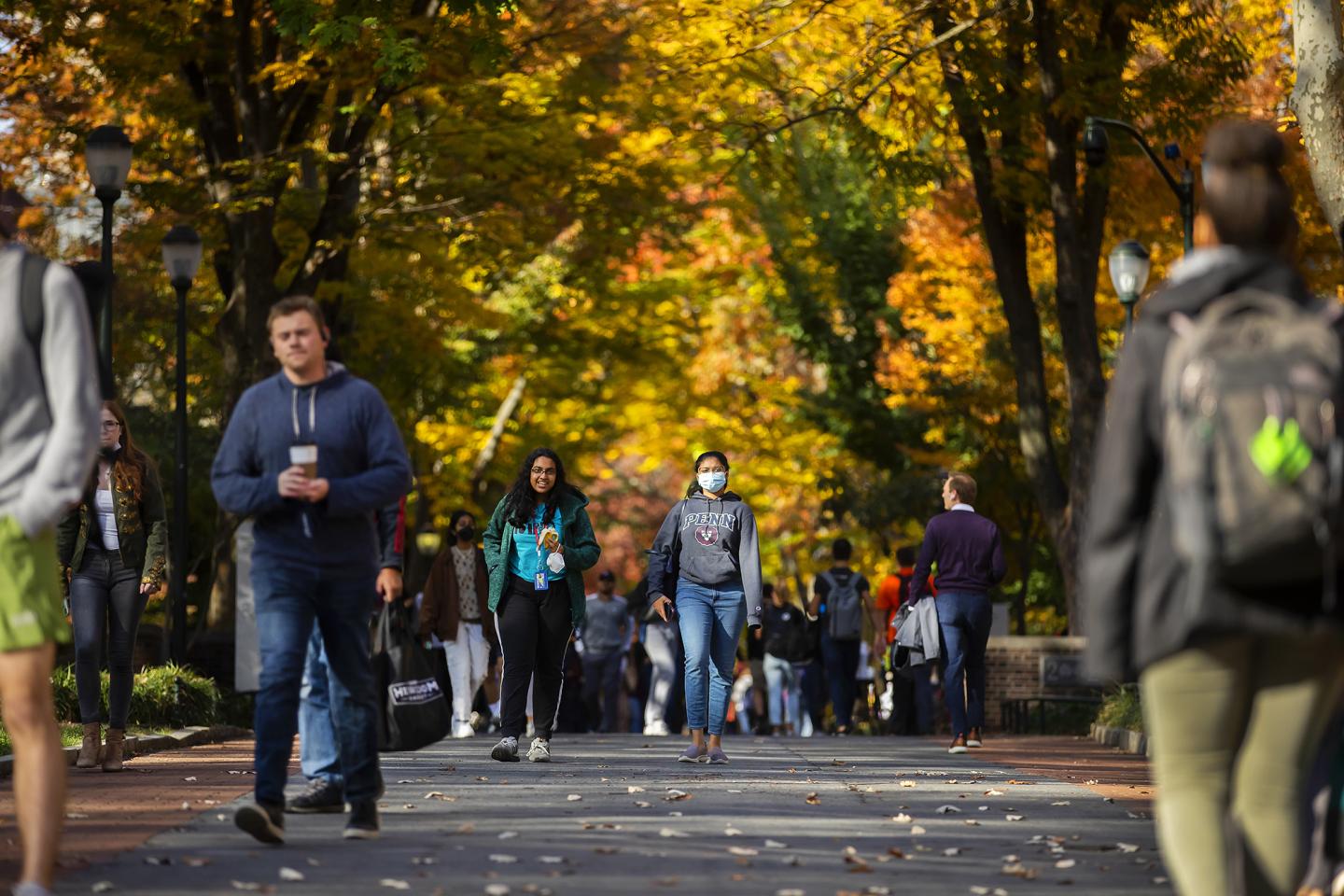 Locust Walk, University of Pennsylvania
