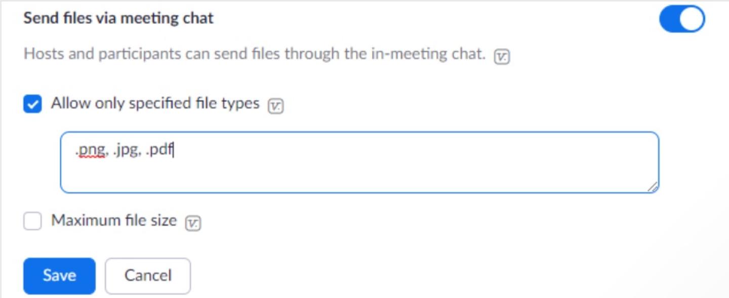 Image on limiting specific file type in a Zoom session 