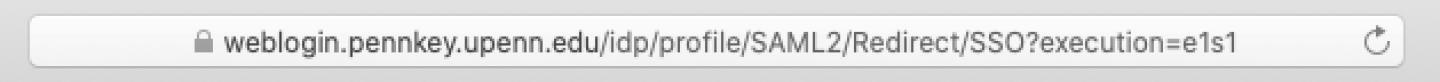 Safari URL bar