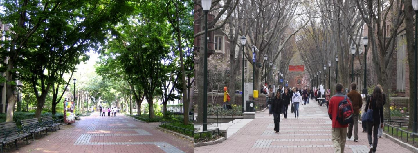 Images of students on campus