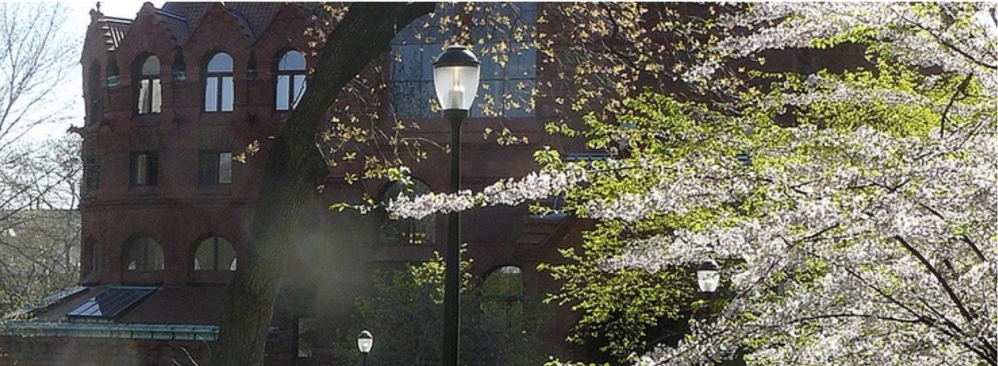 An image of one of Penn's building to represent staff offices and a light representing staff's knowledge