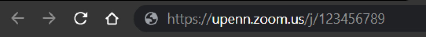 Zoom URL format