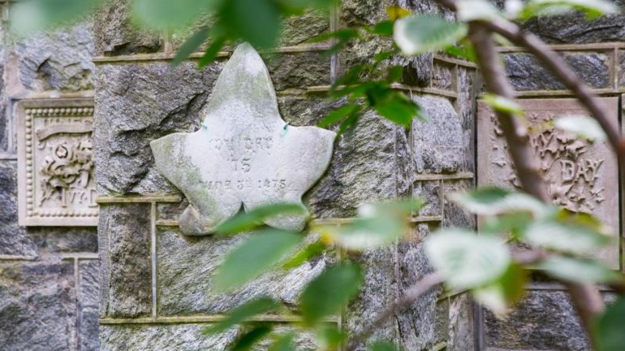 Ivy plaques on College Hall